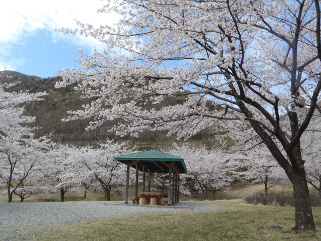 銅親水公園